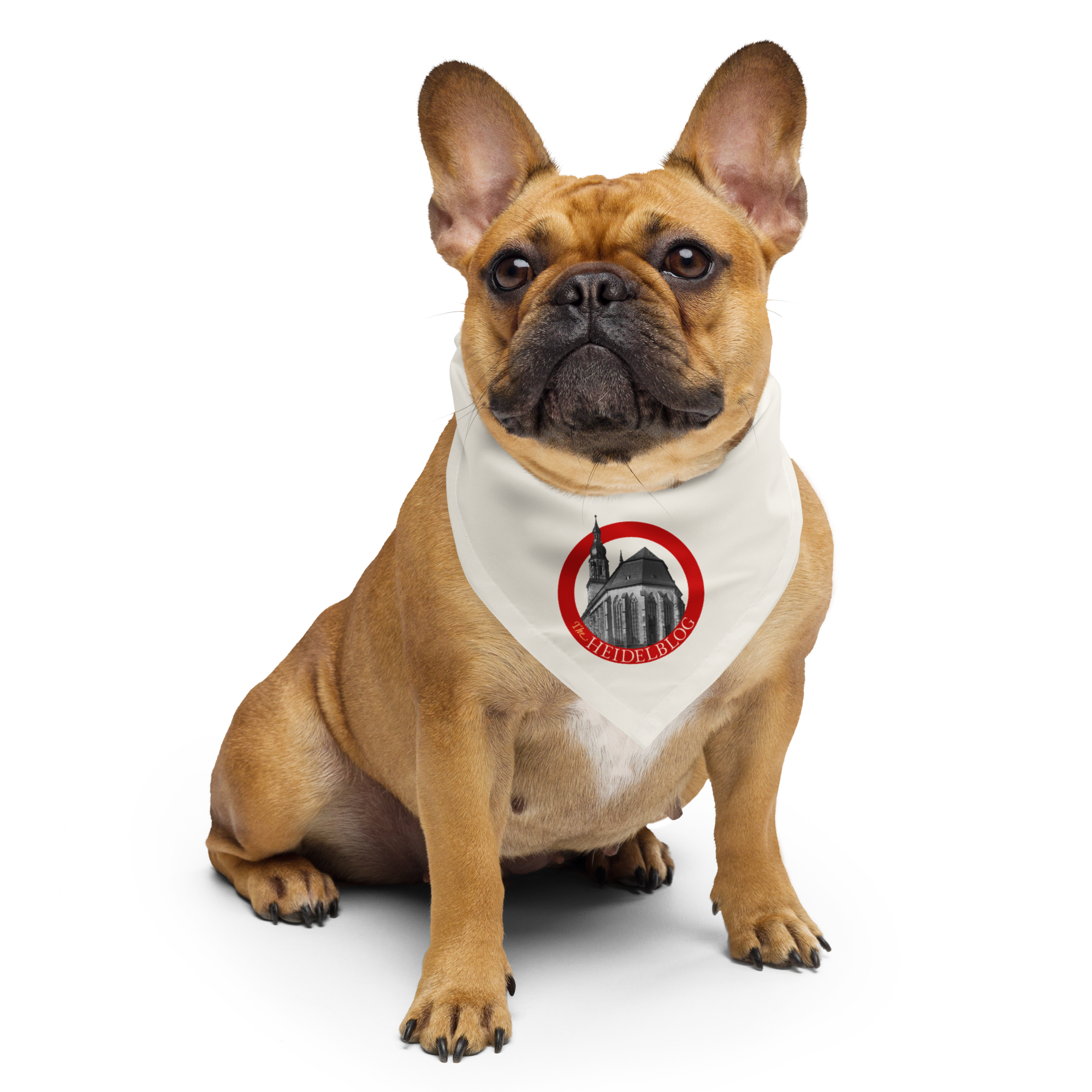 Heidelblog Pet Bandana