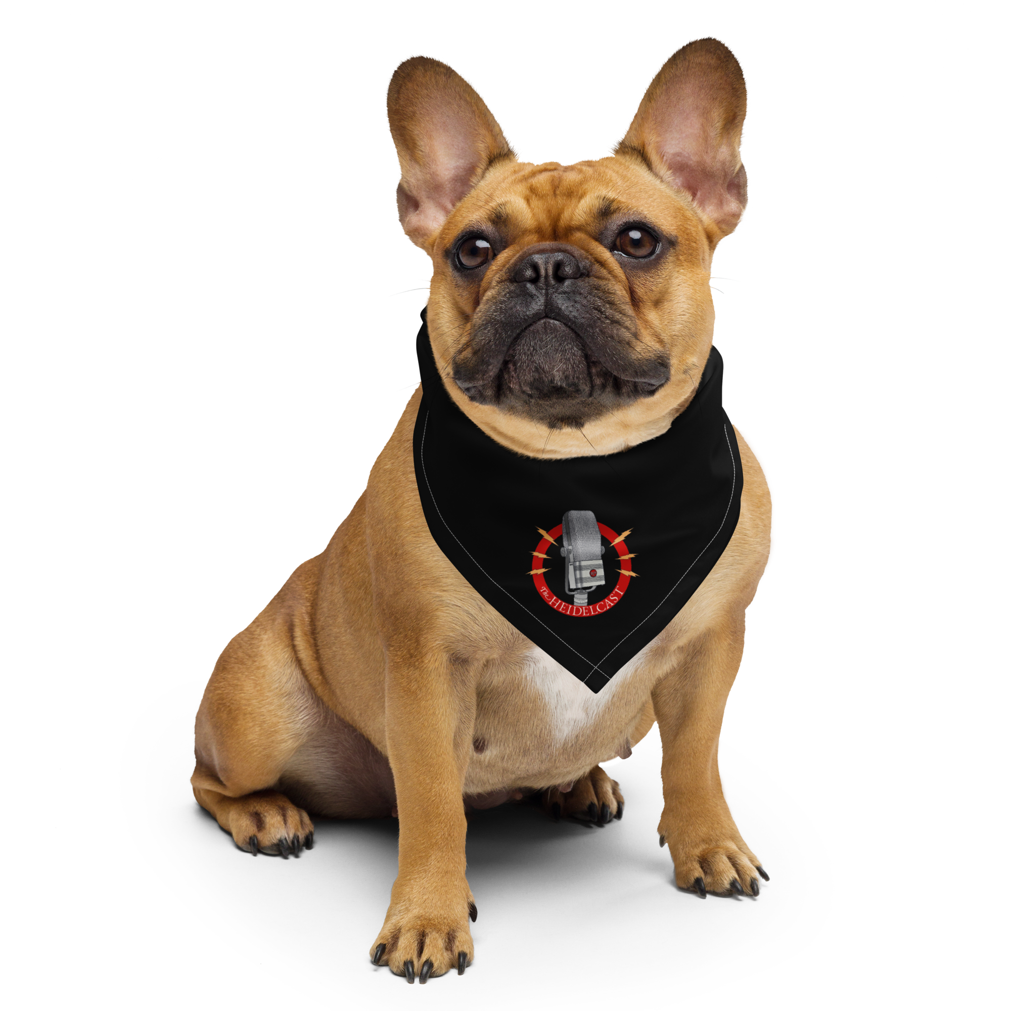 Heidelcast Pet Bandana