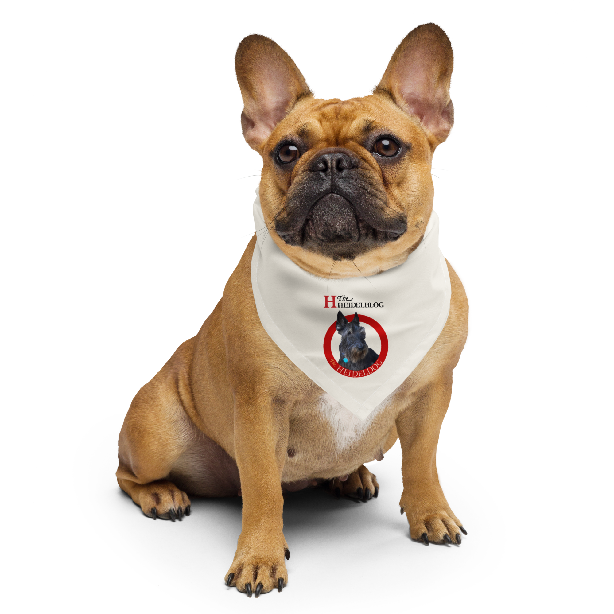 Heideldog Pet Bandana