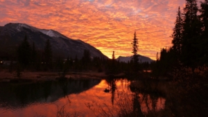 joyful morning