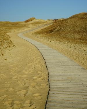 winding pathway