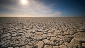 dry cracked