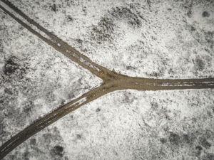divergingpaths