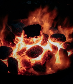coals
