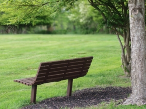 bench