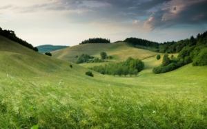 hills